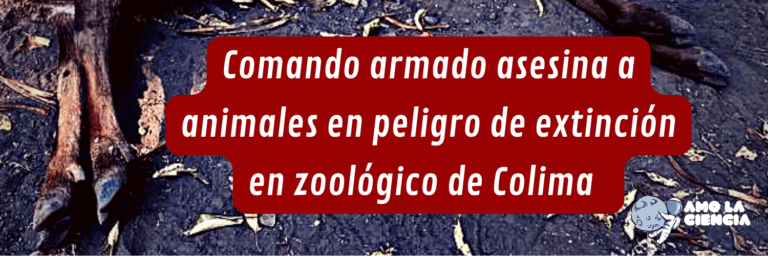 Criminales asesinan animales en peligro de extinción en zoológico de Colima