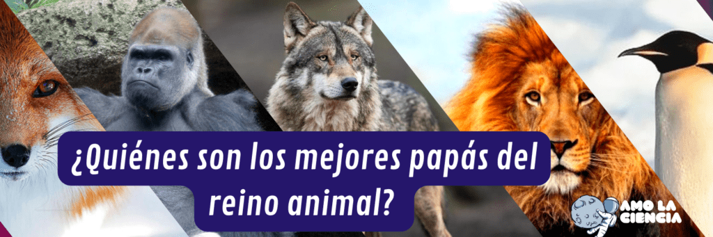 ¿Quiénes son los mejores papás del reino animal?