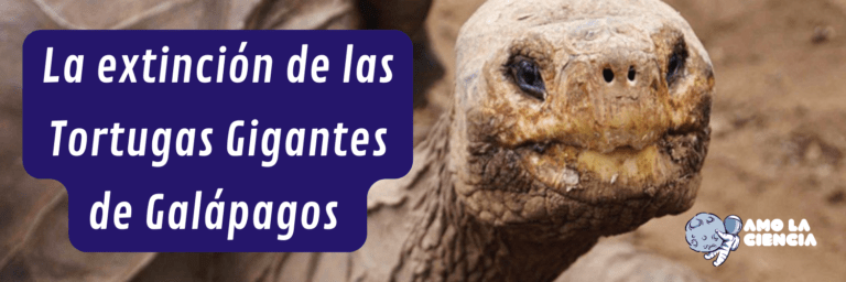 La extinción de Tortugas Gigantes en las Islas Galápagos