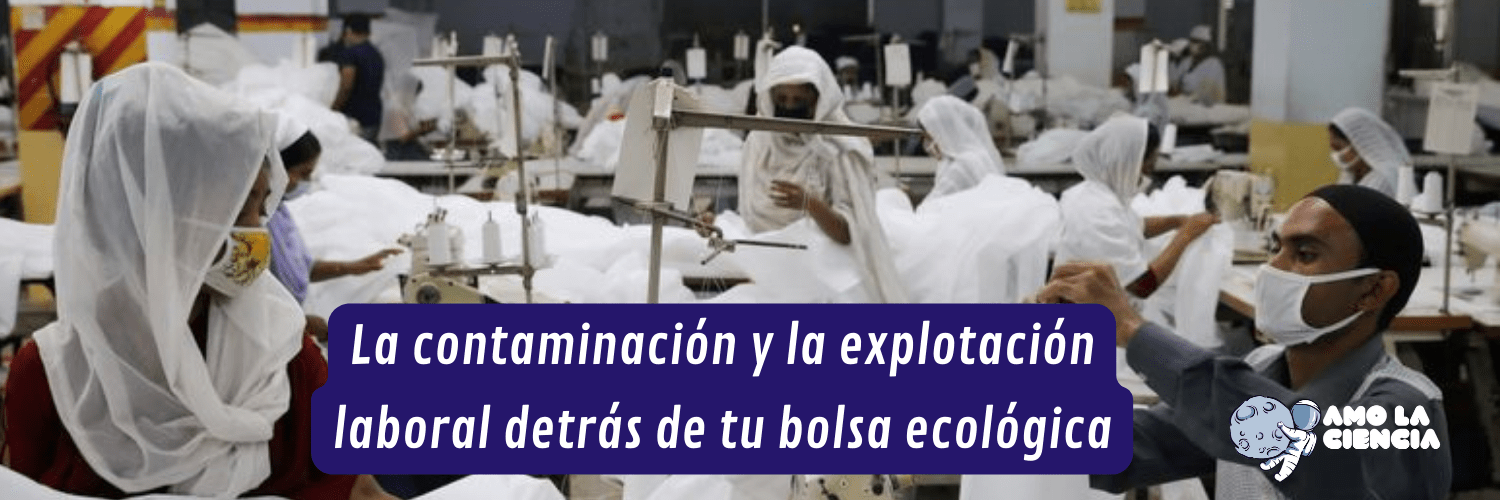 La contaminación y la explotación laboral detrás de tu bolsa ecológica