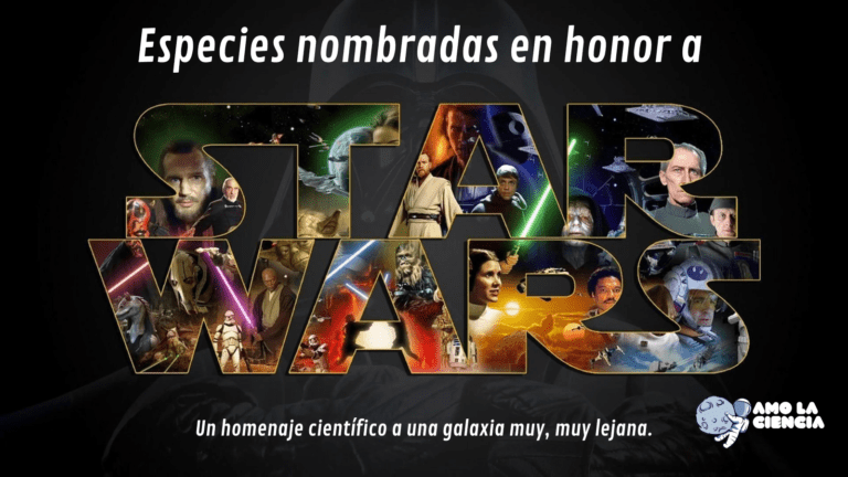 Animales nombrados en honor a Star Wars: Un homenaje científico a una galaxia muy, muy lejana.