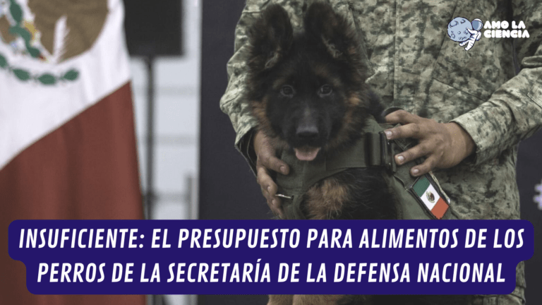Sedena gasta $38 pesos al día para alimentos de perros militares