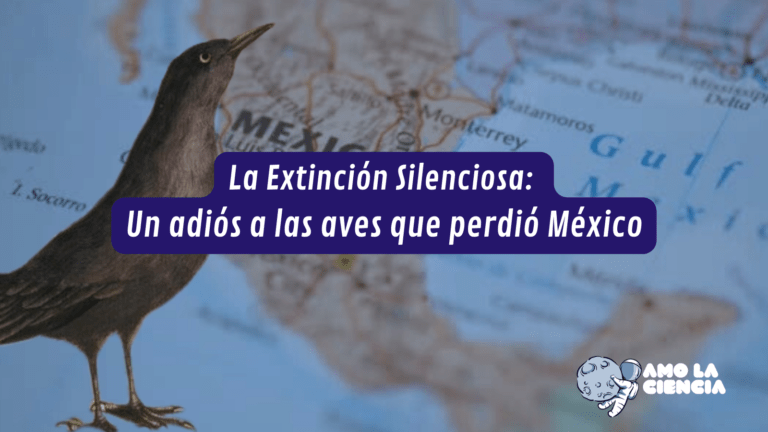 La Extinción Silenciosa: Un adiós a las aves que perdió México